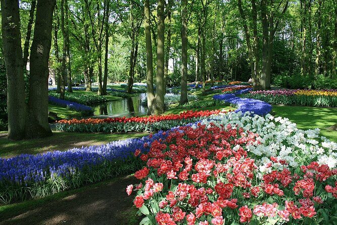 Tulip Paradise: Keukenhof Half-Day Private Tour - Authentic Experiences from Traveler Reviews