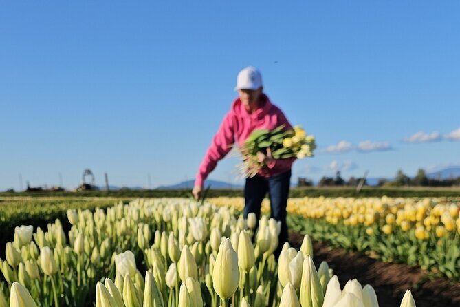 Tulip Valley Farms U Pick Experience - What Makes This U-Pick Experience Special?