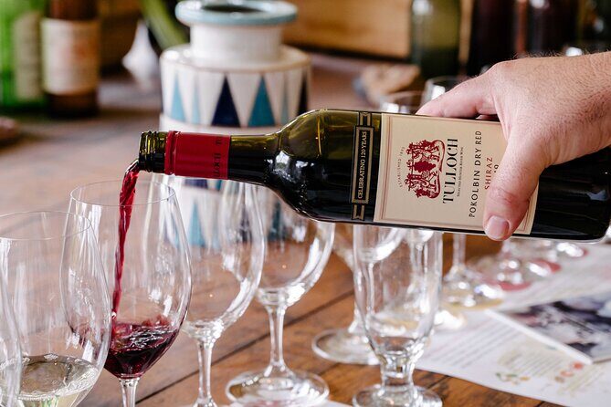 Tulloch Wines- Tasting of 6 Pokolbin Dry Red Shiraz Vintages with Charcuterie - A Thorough Look at the Tulloch Wine Tasting Experience