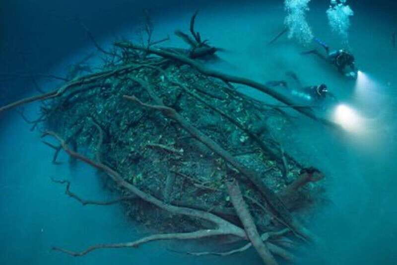 Tulum: 2 Dives in Chac Mool Cenote - An In-Depth Look at the Tour Experience