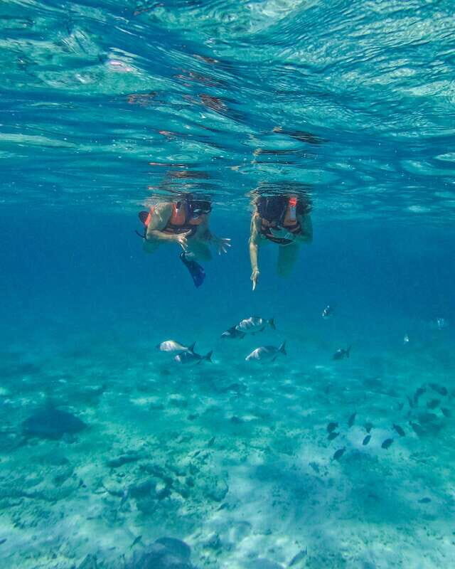 Tulum: 2-Hour Snorkeling in Two Spots of Tulum's Reef - Final thoughts: is this tour worth it?