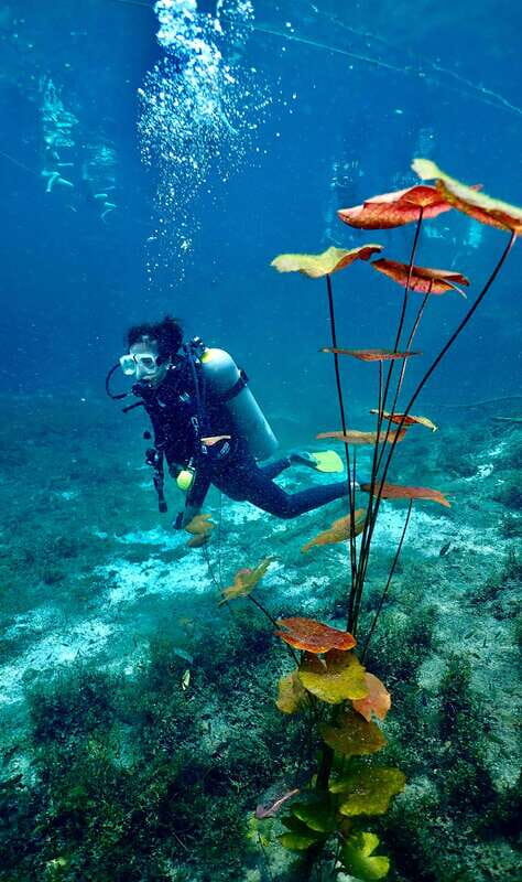 Tulum: 2 Tank Cenote Dive - Key Points