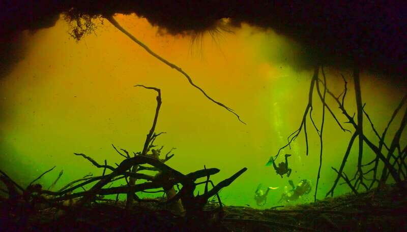 Tulum: 2 Tank Cenote Dive - Why This Tour Works for You