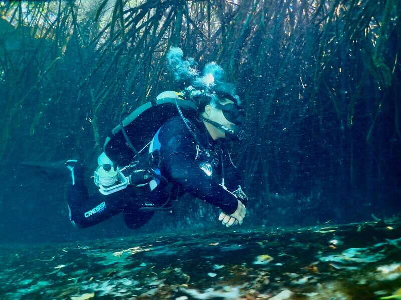 Tulum: 2 Tank Cenote Dive - The Sum Up: Is It Worth It?