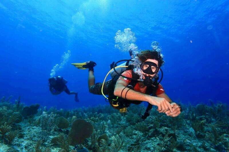 Tulum: 2 Tank Reef Diving - Key Points