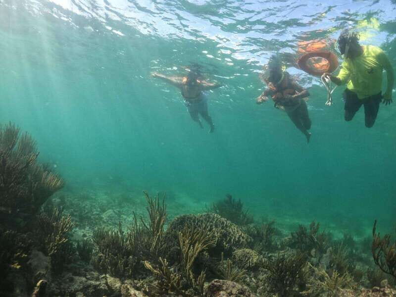 Tulum: 3 hour Snorkel & sailing experience - Tulum: 3-Hour Snorkel & Sailing Experience — A Practical Look