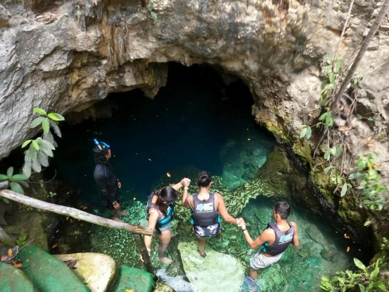 Tulum: 4 Cenotes Casa Tortuga Guided Tour with Free Time - A Deep Dive into the Cenotes and the Experience