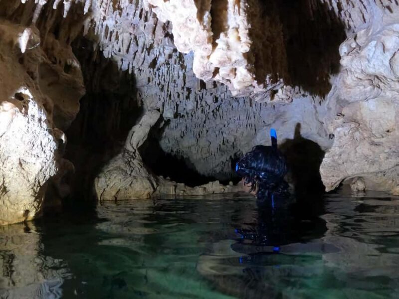 Tulum: 4 Cenotes Casa Tortuga Guided Tour with Free Time - Final Thoughts