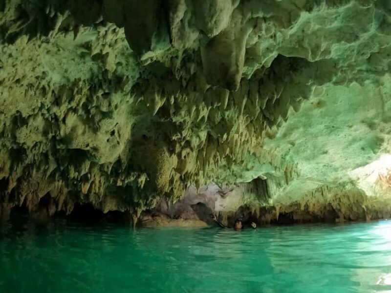 Tulum: 4 Cenotes Casa Tortuga Guided Tour with Free Time - FAQ