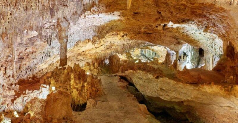 Tulum: Akumal Turtles and Underground Cenote Swim Tour - Key Points