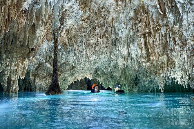 Tulum Ancestral Waters Cave Cenotes Jungle Walk and Meal - An In-Depth Look at the Tour Experience