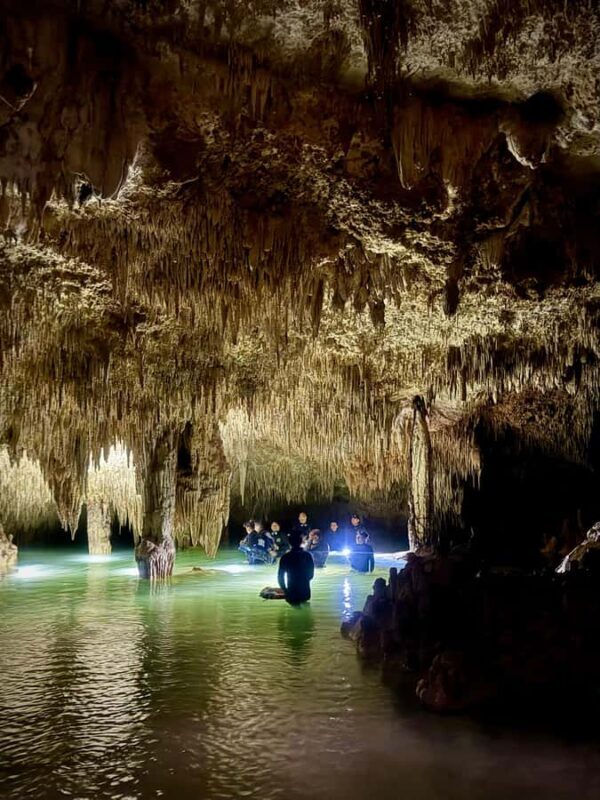 Tulum: Ancestral Waters Cave Cenotes Jungle Walk & Meal - Authenticity and Value