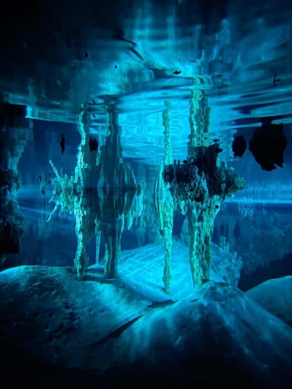 Tulum: Ancestral Waters Cave Cenotes Jungle Walk & Meal - Final Thoughts