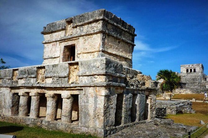 Tulum and Cenote Experience - Transportation and Logistics: What to Expect