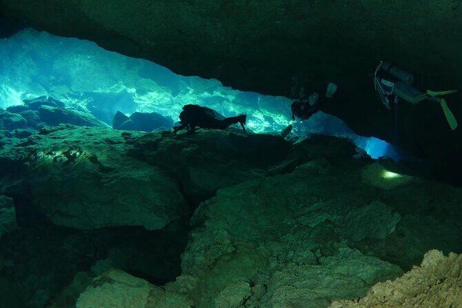 Tulum Area Experiences 2 Tank Guided Scuba Dives at Dos Ojos Cenote's + Lunch - Who Should Consider This Tour?