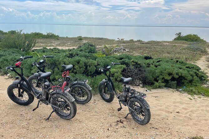Tulum Area Experiences E-Bike Daily Rental - In-Depth Review of the Tulum E-Bike Rental Experience