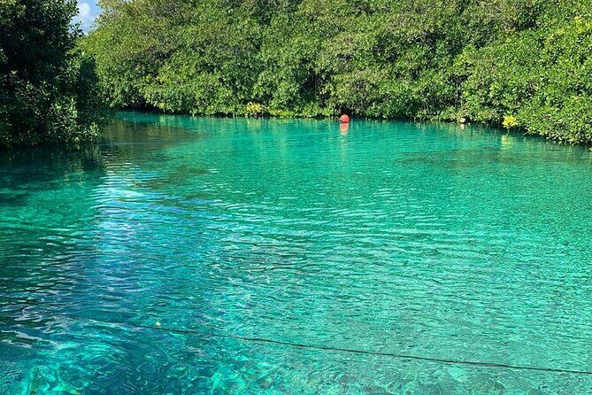 Tulum Area Experiences Guided 2 Tank Scuba Dive Casa Cenote & Barrier Reef-Lunch - Frequently Asked Questions