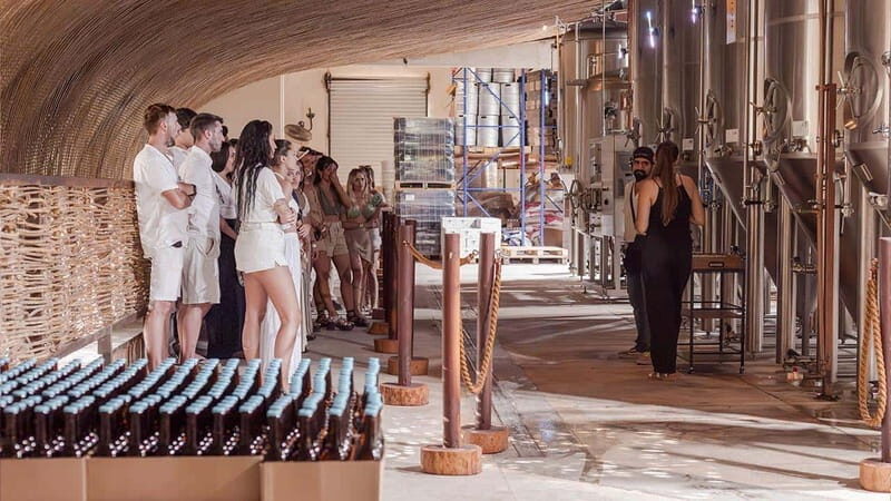 Tulum beer school, brews & bites and visit to beer fabric - Key Points
