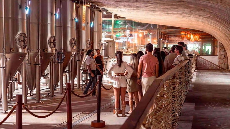 Tulum Beer Tasting Brewery Tour Beer School & Transportation - A Detailed Look at the Tulum Beer Tasting Brewery Tour