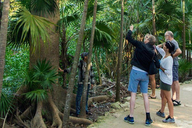 Tulum Bike Tour Tulum Maya Ruins Cenote Swimming Pueblo History Art Tacos Lunch - A Few Considerations