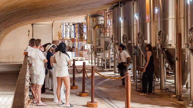 Tulum Brewery Tour and Brews & Bites - Key Points