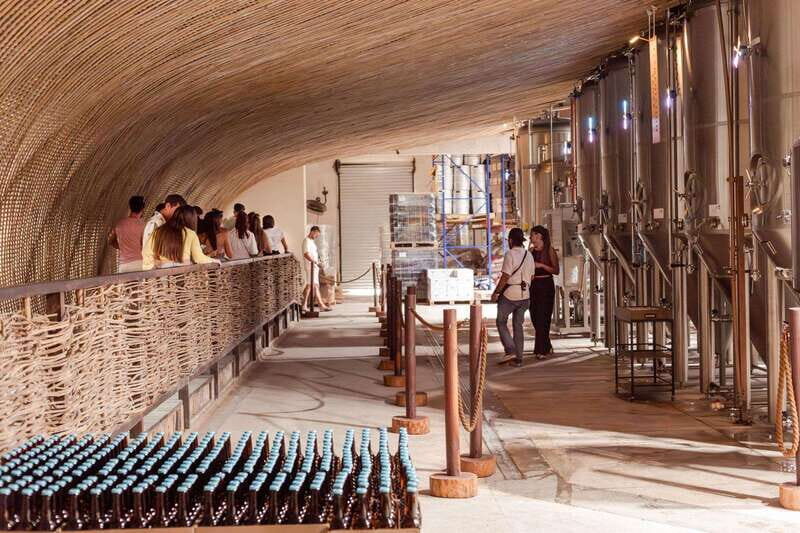 Tulum Brewery Tour and Brews & Bites - An Authentic, Enjoyable Experience