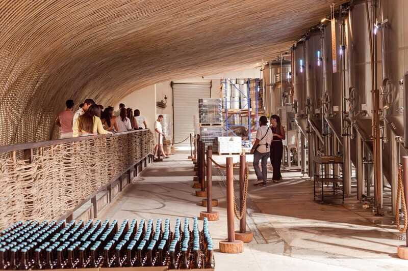 Tulum Brewery Tour and Brews & Bites - Final Thoughts