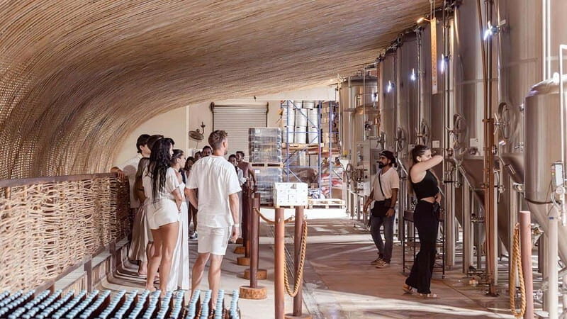 Tulum Brewery Tour & Beer Flight (Tasting Craft Beer) - In-Depth Breakdown of the Tour