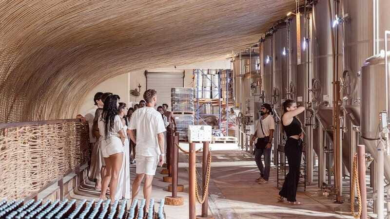 Tulum Brewery Tour & Beer Flight (Tasting Craft Beer) - Final Thoughts: Is It Worth It?