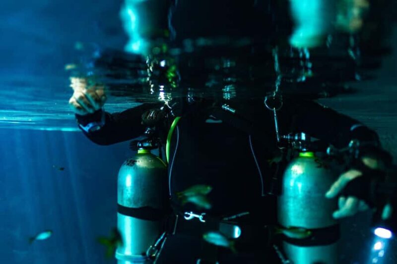 Tulum: Cenote Dos Ojos Dive  Dive Machine Experience - Accessibility and Inclusion