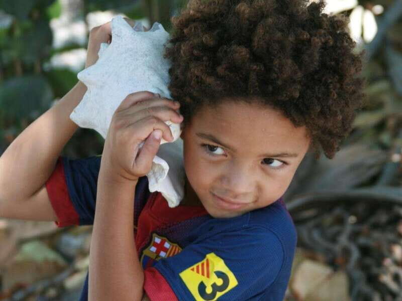 Tulum: Cenote Exploration Tour with Lunch and Snorkeling - The Sum Up