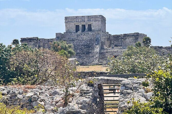 Tulum Cenotes Tour Experience - Discover the Tulum Cenotes Tour Experience: A Deep Dive Into Land and Underwater Wonders