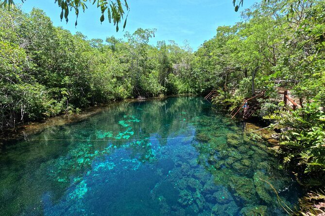 Tulum Cenotes Tour Experience - Final Thoughts