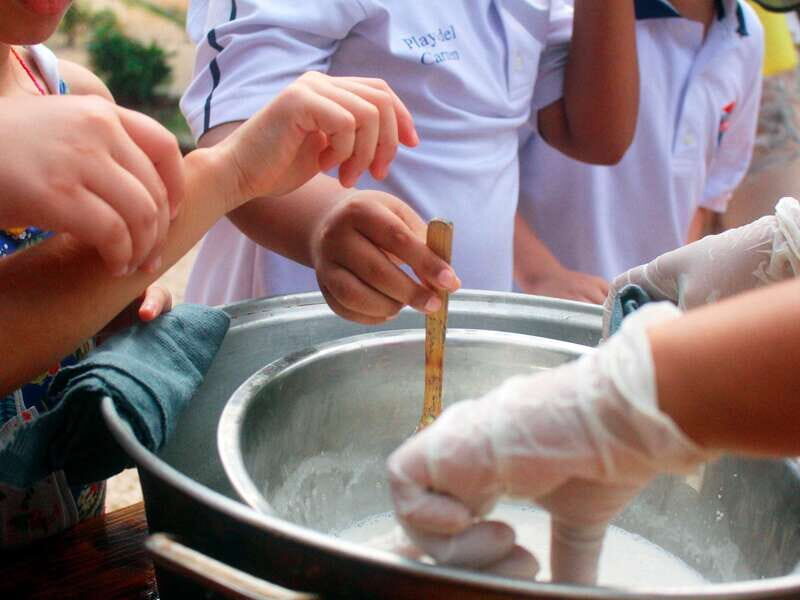 Tulum: Chocolate & Honey Sanctuary Experience with Lunch - Key Points