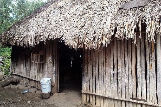 Tulum, Coba, Cenote & Playa del Carmen, from Cancun - FAQ