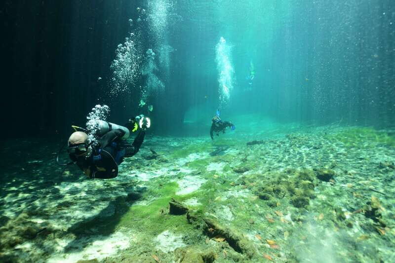 Tulum: Discover Scuba Diving in Cenotes - What to Expect from Your Cenote Discover Scuba Trip