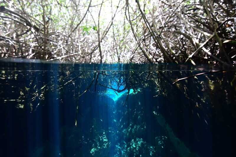 Tulum: Discover Scuba Diving in Cenotes - Authentic Experiences and Personal Touches