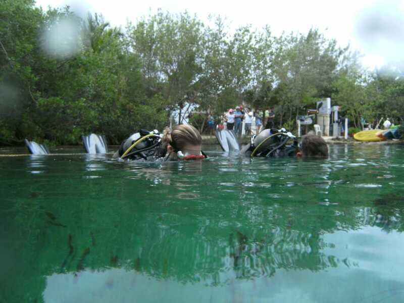 Tulum: Discover Scuba Diving in Cenotes - Who Should Consider This Tour?