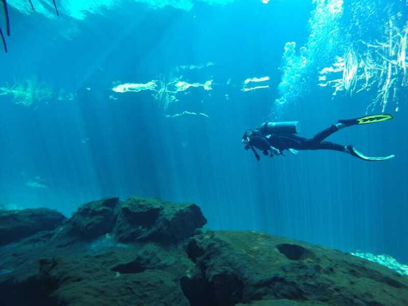 Tulum: Discover Scuba Diving in Cenotes - The Sum Up