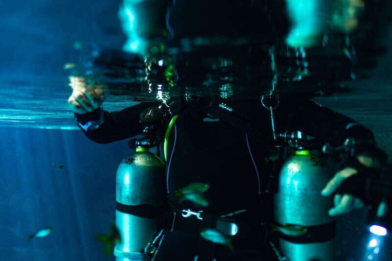 Tulum: Discover the Depths of Dos Ojos Cenote - Key Points