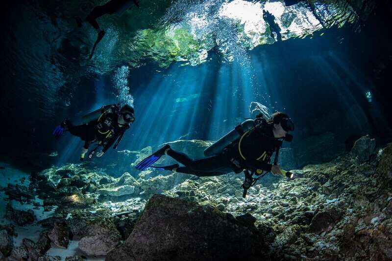 Tulum : Dos Ojos cenote 2 scuba dives (certified divers) - The Experience: What You Can Expect