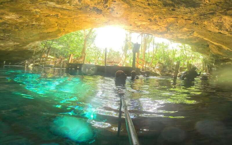 Tulum: Dos Ojos Cenote 2 Scuba Dives with Transfer Option - Key Points