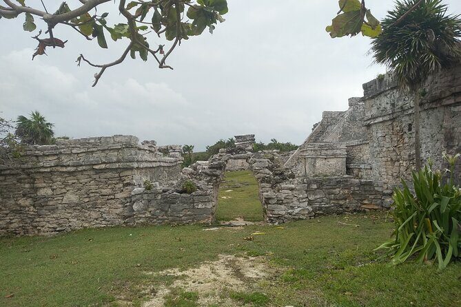 Tulum Guided Tour and Cenote Swim from Playa del Carmen - FAQ