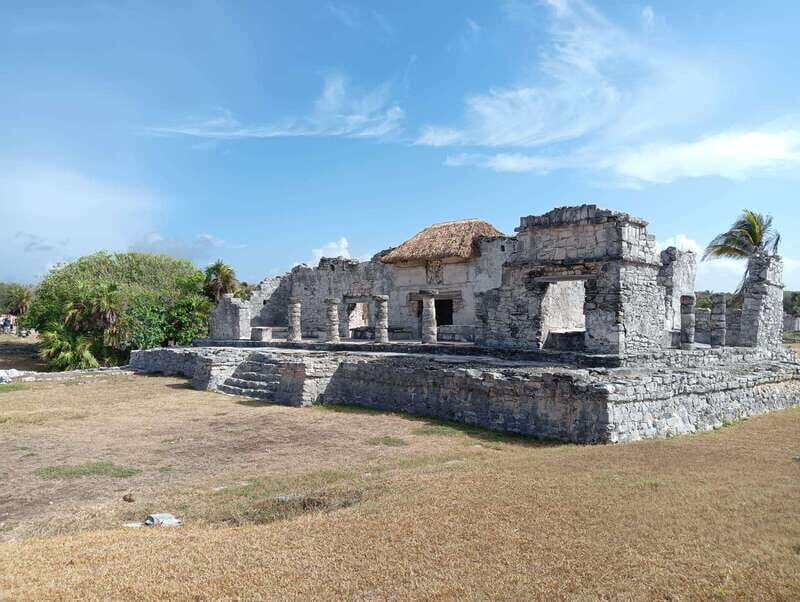 Tulum: Guided Tour of the Mayan Ruins - The Mangrove Forest Walk