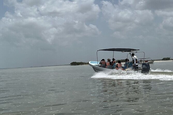 Tulum Las Coloradas and Rio Lagartos Pink Lagoon and Flamingos - The Natural Mud Bath Experience