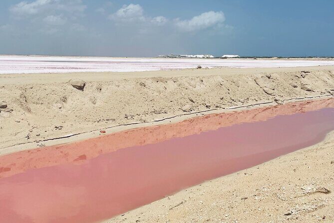 Tulum Las Coloradas and Rio Lagartos Pink Lagoon and Flamingos - Authentic Regional Lunch and Logistics