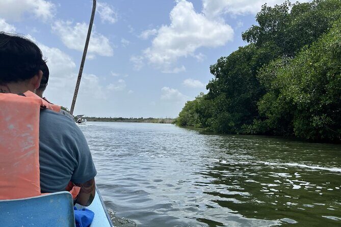 Tulum Las Coloradas and Rio Lagartos Pink Lagoon and Flamingos - Practical Tips for Your Day Trip