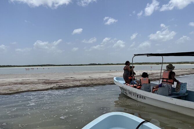 Tulum Las Coloradas and Rio Lagartos Pink Lagoon and Flamingos - Who This Tour Suits Best