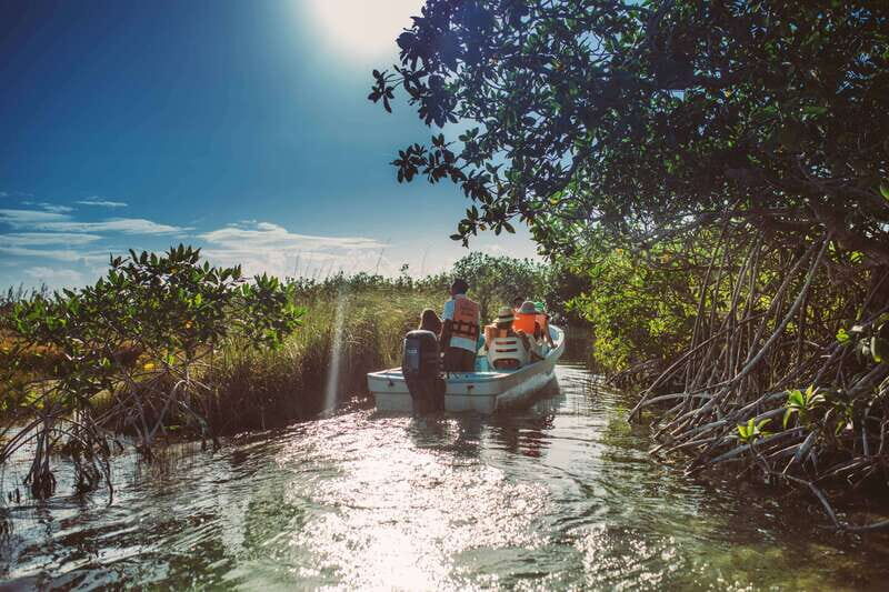 Tulum: Mayan Ruins & Sian Kaan Tour with Boat Ride and Lunch - In-Depth Tour Review: What You Can Expect