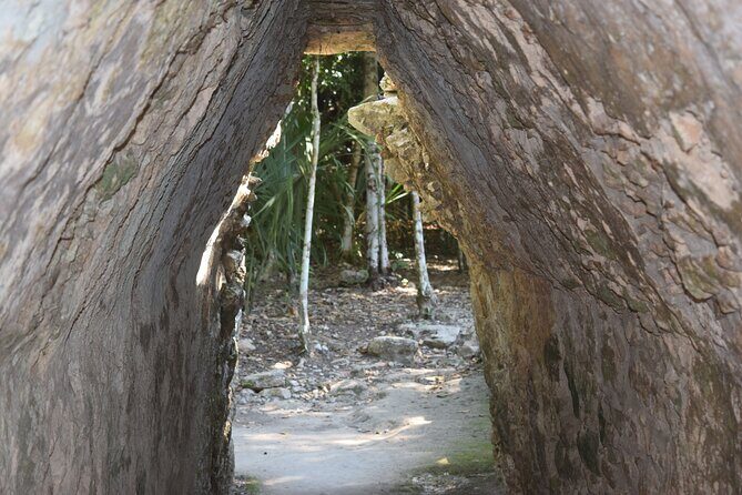 Tulum Multun-Ha Cenote Coba and Paradise Beach Private Tour - A Close Look at the Tour Experience